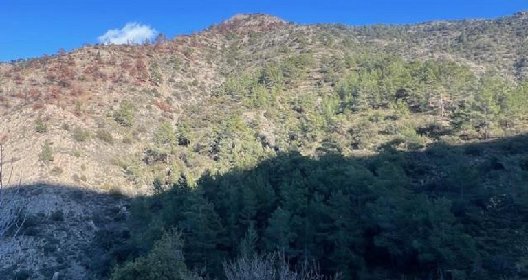 Landwirtschaftliches Baugebiet in Nicosia zu verkaufen