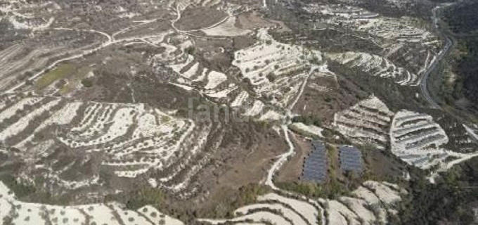Agricultural field for sale in Paphos