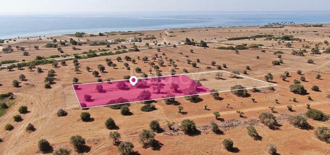 Field for sale in Larnaca