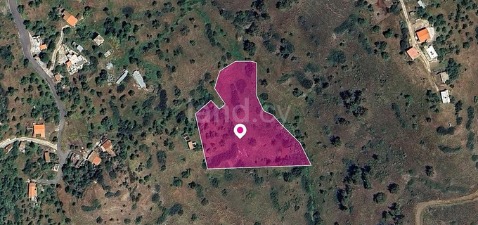 Field for sale in Nicosia