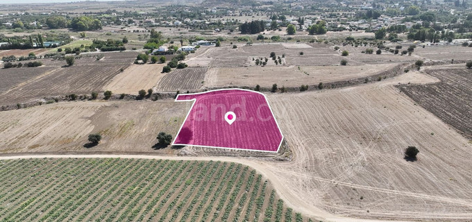 Αγροτεμάχιο προς πώληση - Λευκωσία