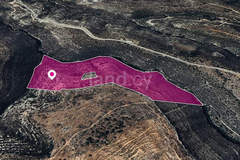 Field for sale in Limassol