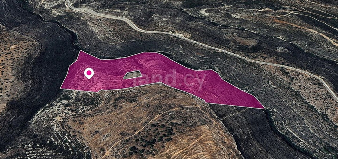 Field for sale in Limassol