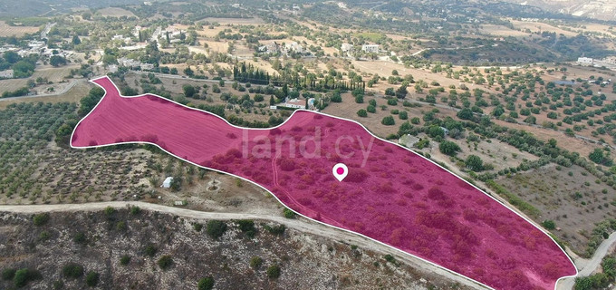 Baugebiet in Paphos zu verkaufen