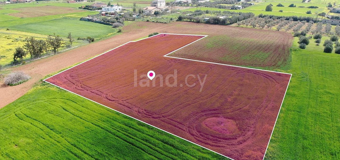 Field for sale in Nicosia