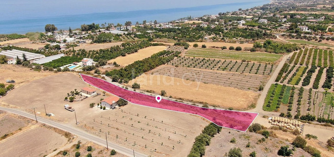 Field for sale in Paphos