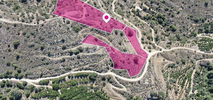 Field for sale in Limassol