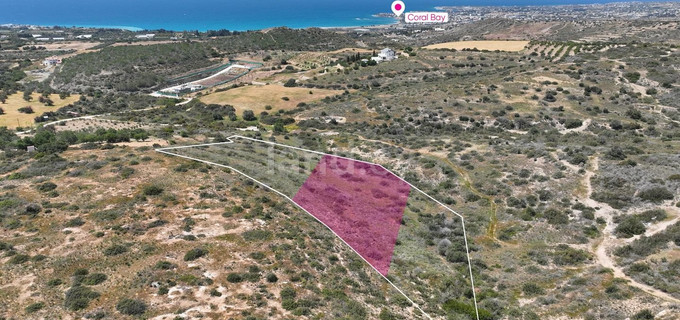 Terrain à vendre à Paphos