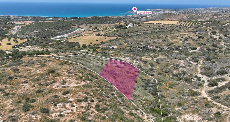 Fält till salu i Paphos