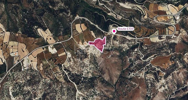Field for sale in Paphos