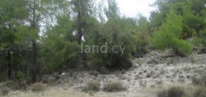 Agricultural field for sale in Paphos