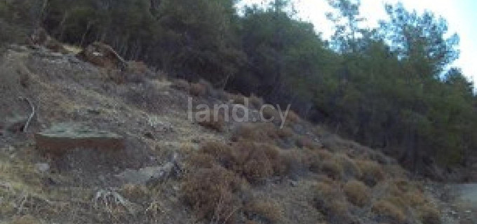 Pole rolne na sprzedaż w Paphos