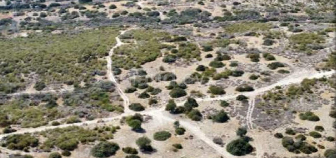 Jordbruksfält till salu i Limassol