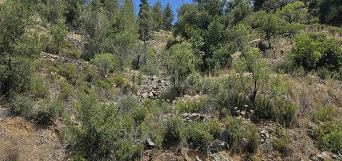 Landwirtschaftliches Baugebiet in Nicosia zu verkaufen