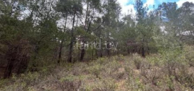 Agricultural field for sale in Nicosia