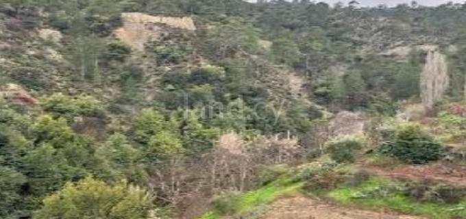 Agricultural field for sale in Nicosia