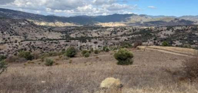 Campo agrícola a la venta en Paphos