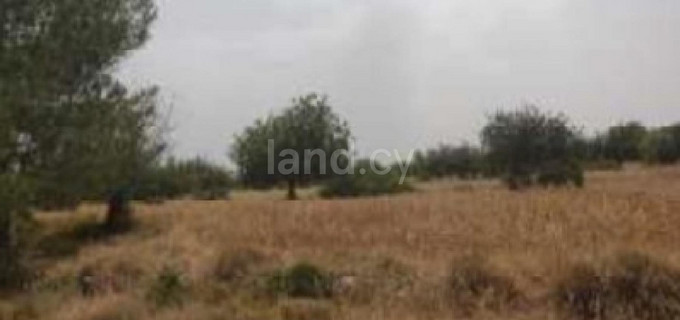 Agricultural field for sale in Paphos