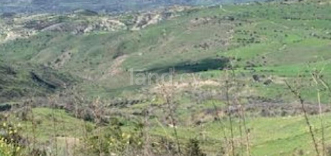 Agricultural field for sale in Paphos