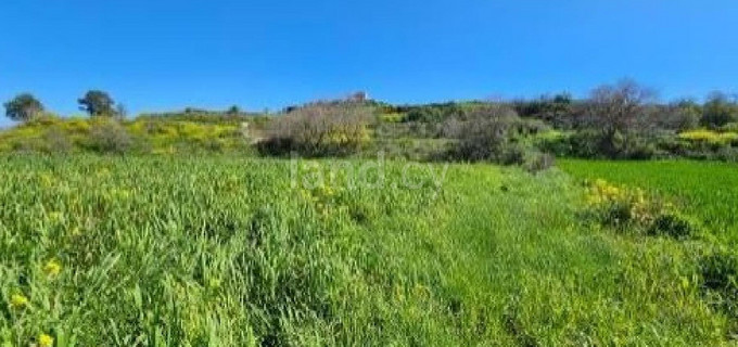 Terrain agricole à vendre à Paphos
