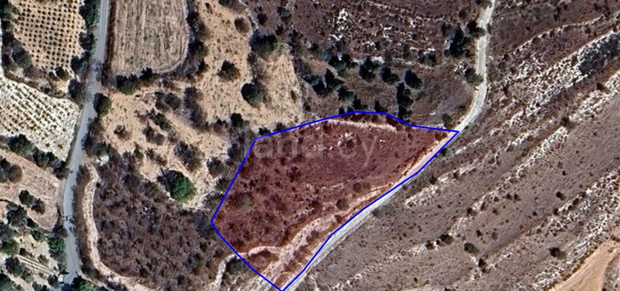 Wohnbaugrundstück in Paphos zu verkaufen