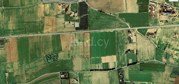 Agricultural field for sale in Larnaca