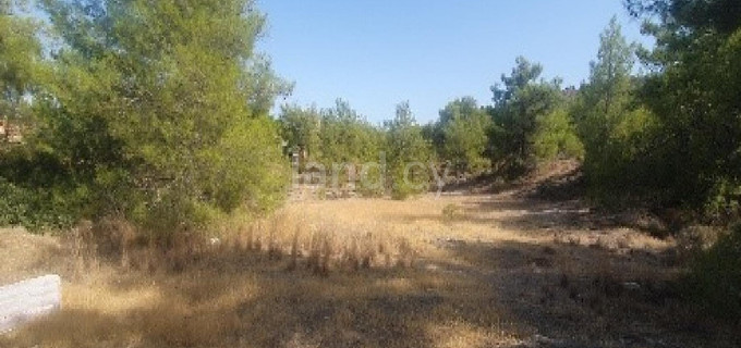 Agricultural field for sale in Larnaca