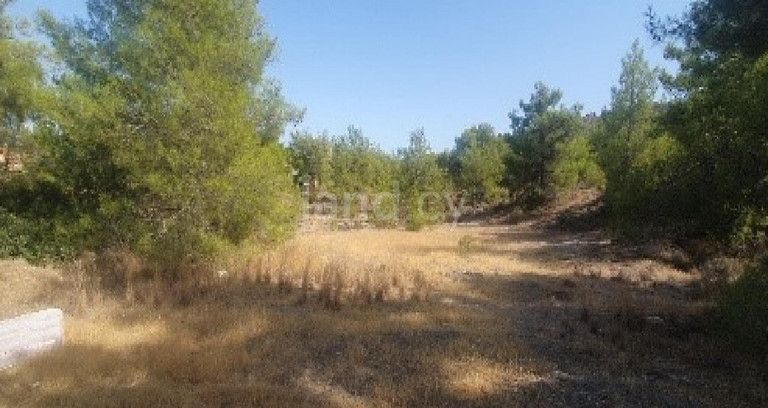 Pole rolne na sprzedaż w Larnaca