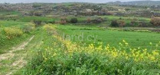 Terrain agricole à vendre à Paphos