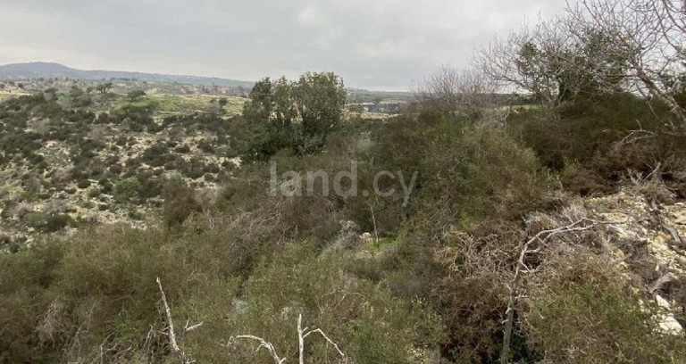 Jordbruksfält till salu i Paphos