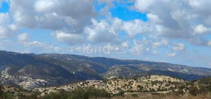 Landwirtschaftliches Baugebiet in Paphos zu verkaufen