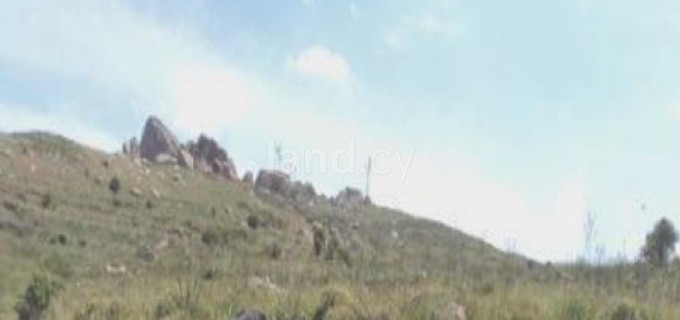 Agricultural field for sale in Paphos