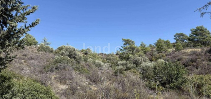 Agricultural field for sale in Limassol