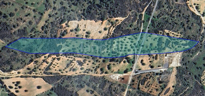 Residential field for sale in Limassol