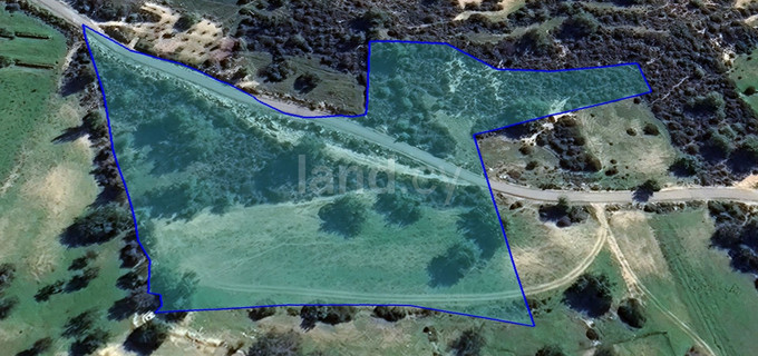 Residential field for sale in Limassol
