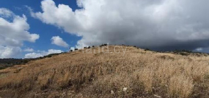Agricultural field for sale in Paphos