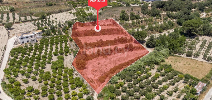 Terrain agricole à vendre à Paphos