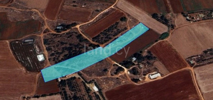 Campo agrícola a la venta en Liopetri
