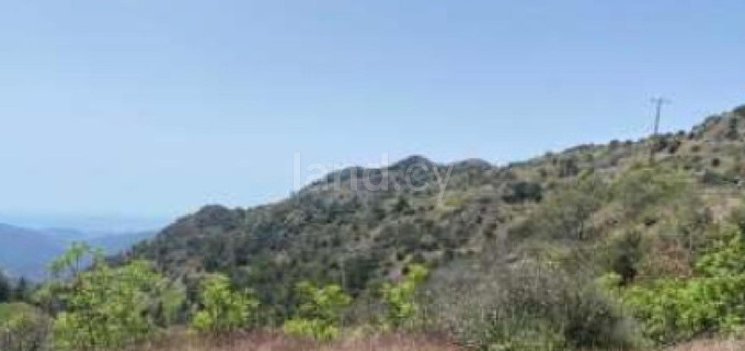 Jordbruksfält till salu i Larnaca