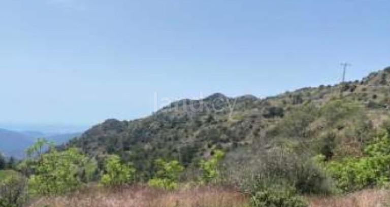 Terrain agricole à vendre à Larnaca