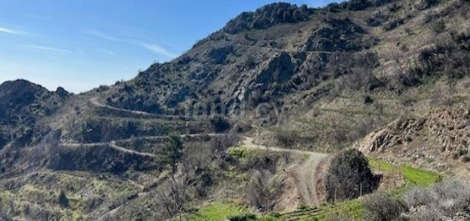 Αγροτικό αγροτεμάχιο προς πώληση - Λάρνακα