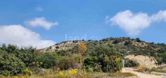 Αγροτικό αγροτεμάχιο προς πώληση - Λάρνακα