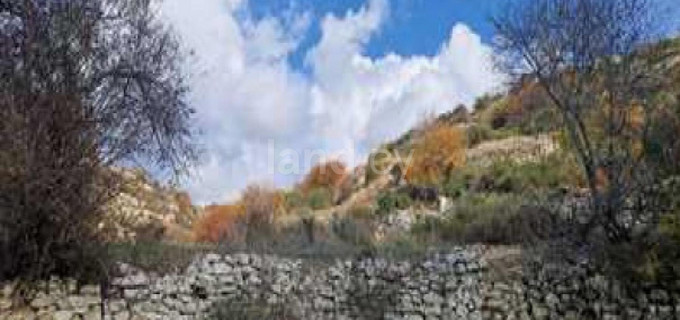 Agricultural field for sale in Limassol
