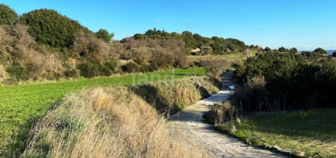 Landwirtschaftliches Baugebiet in Paphos zu verkaufen