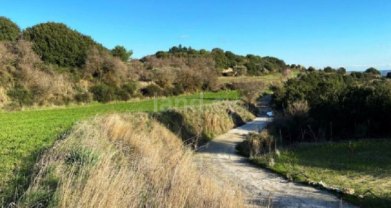 Agricultural field for sale in Paphos