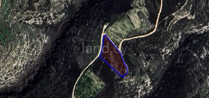 Agricultural field for sale in Paphos