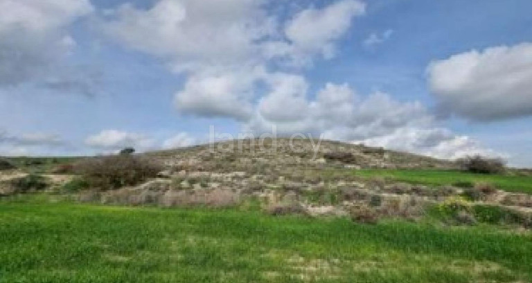 Terrain agricole à vendre à Larnaca