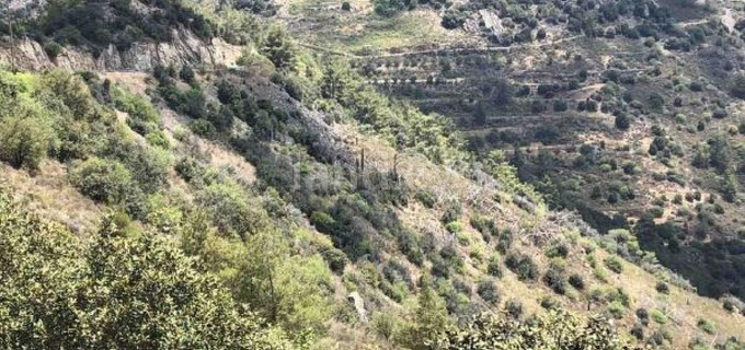 Jordbruksfält till salu i Larnaca