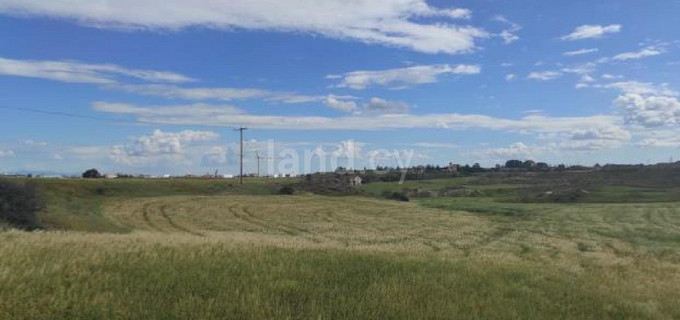 Сельскохозяйственное поле на продажу в Никосия