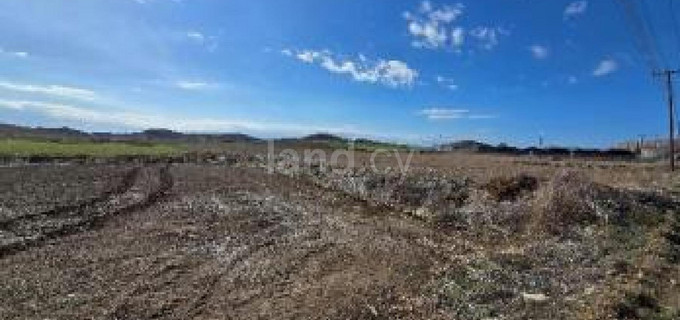 Landwirtschaftliches Baugebiet in Larnaca zu verkaufen